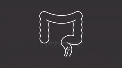 service placeholder image